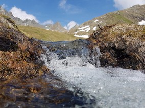 AcquaScermendone.jpg
