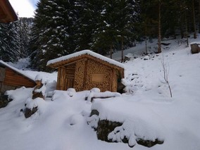 BaraccaLegna.jpg